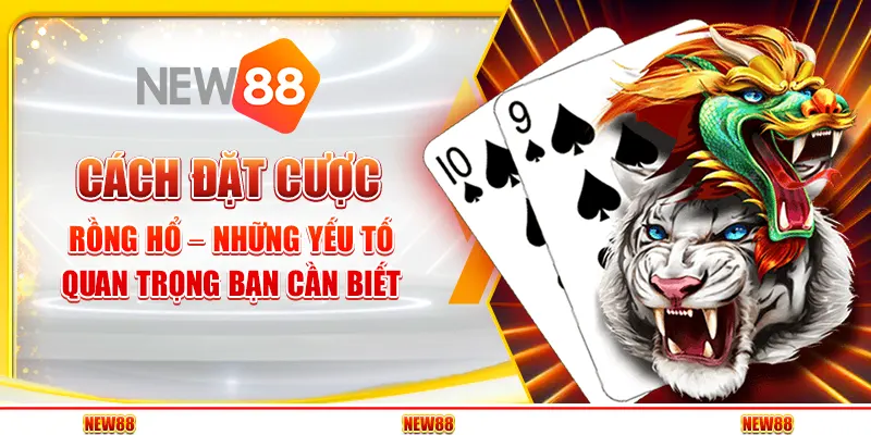 New88 Thăng Hoa - Chơi Hay Thắng Lớn, Trải Nghiệm Đỉnh Cao